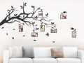 Wandtattoo Ast mit Fotorahmen Wandtattoo Ast mit Fotorahmen