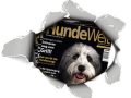 Wandtattoo Hundewelt
